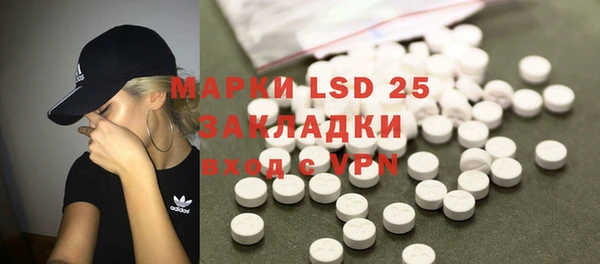 гашик Аркадак