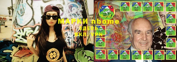 гашик Аркадак