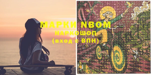 молекула духа Арсеньев