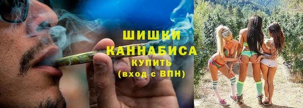 гашик Аркадак