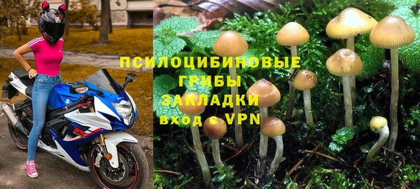 СК Балахна