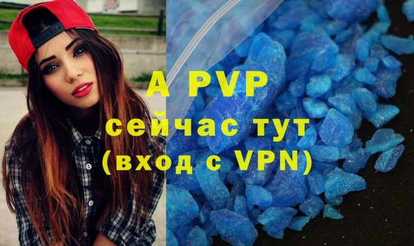 молекула духа Арсеньев