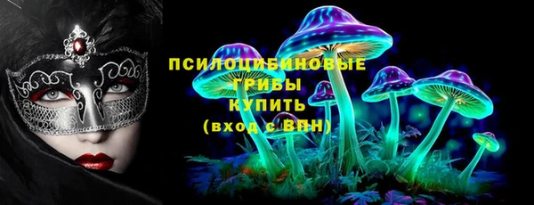 молекула духа Арсеньев