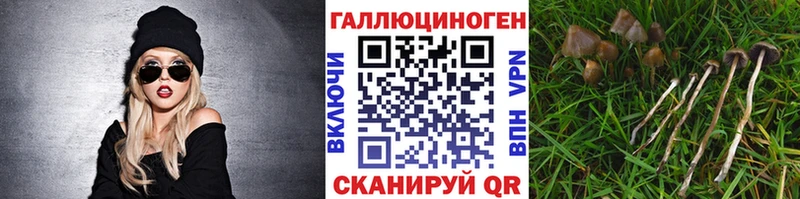 Псилоцибиновые грибы GOLDEN TEACHER  Корсаков 